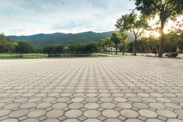 Best Driveway Paving Contractor  in West Athens, CA